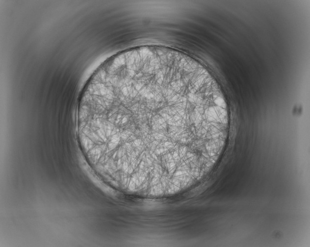 X0000111480796200908251000