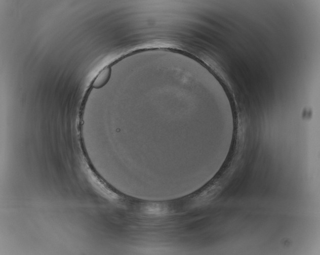 X0000111480797200908251000