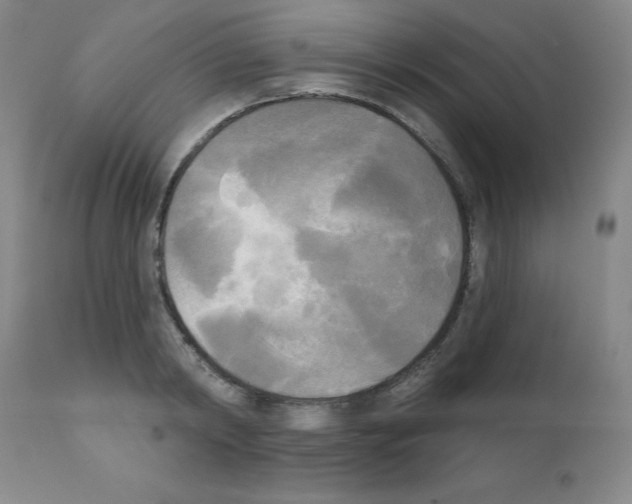X0000111480798200908251000