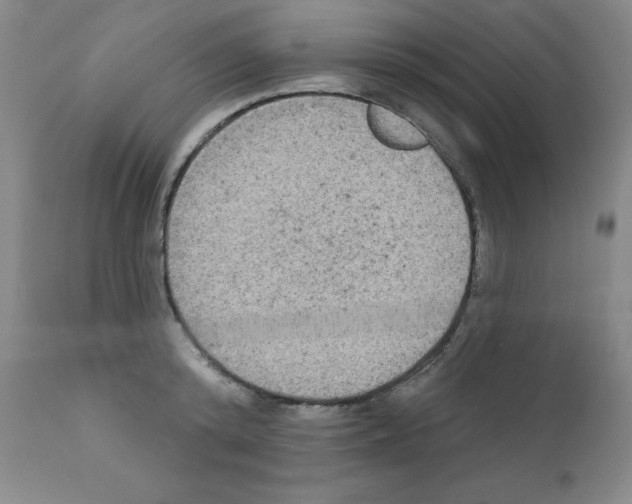 X0000111480800200908251000