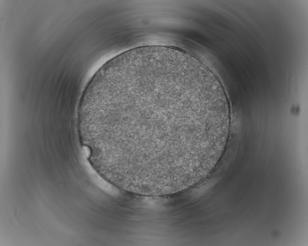 X0000111480803200908251000
