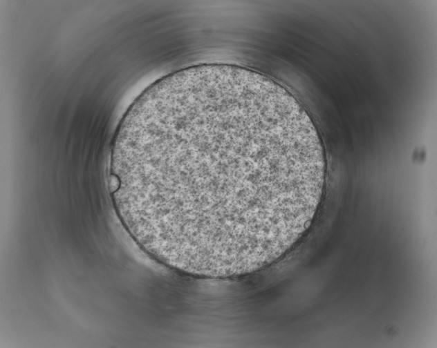 X0000111480804200908251000
