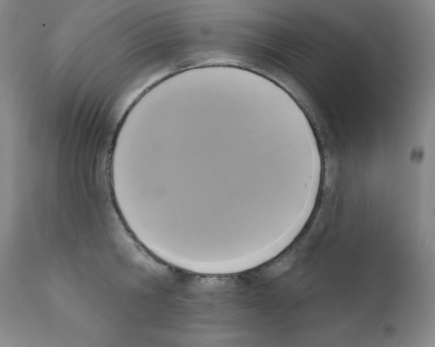 X0000111480806200908251000
