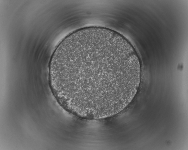 X0000111480807200908251000