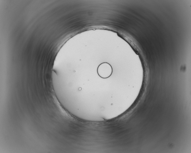 X0000111480809200908251000