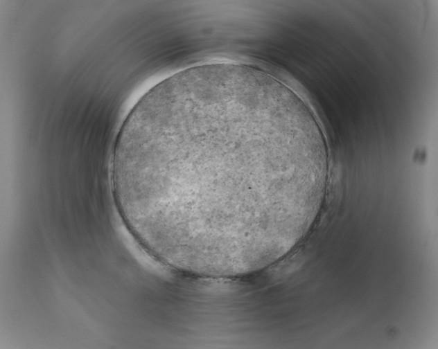 X0000111480811200908251000