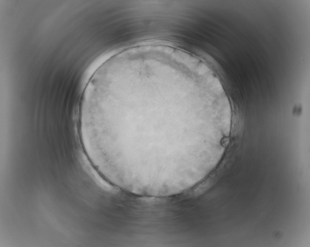 X0000111480812200908251000
