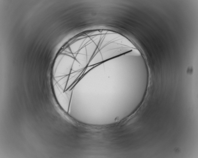 X0000111480813200908251000
