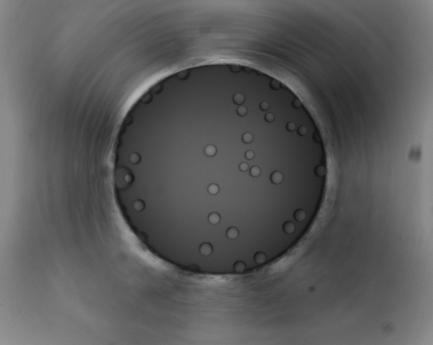X0000111480814200908251000