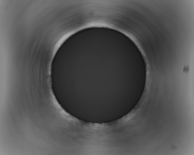 X0000111480815200908251000