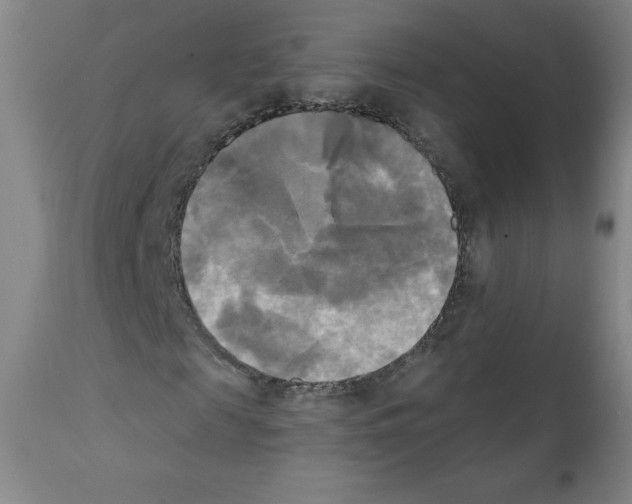 X0000111480817200908250959