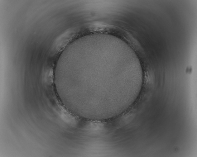 X0000111480820200908250959