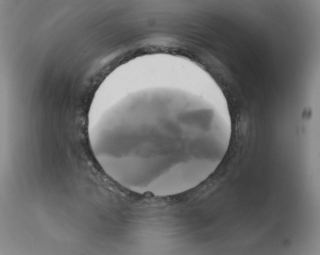 X0000111480822200908250959