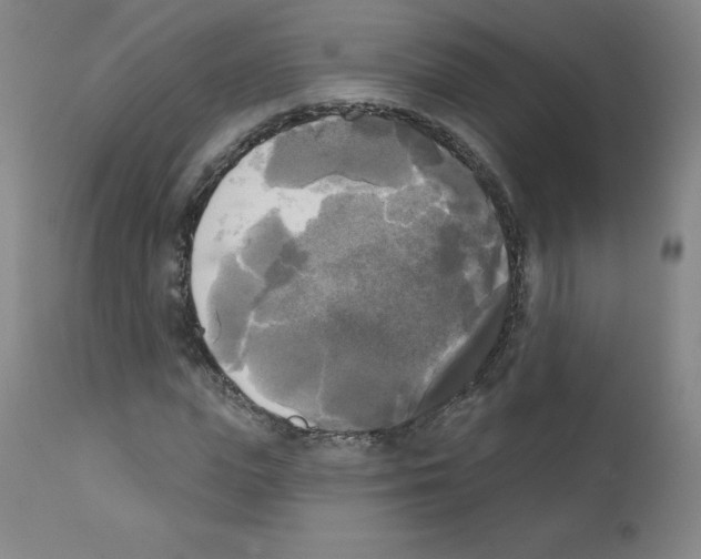 X0000111480823200908250959