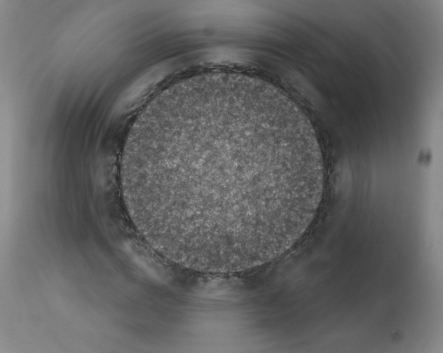 X0000111480824200908250959