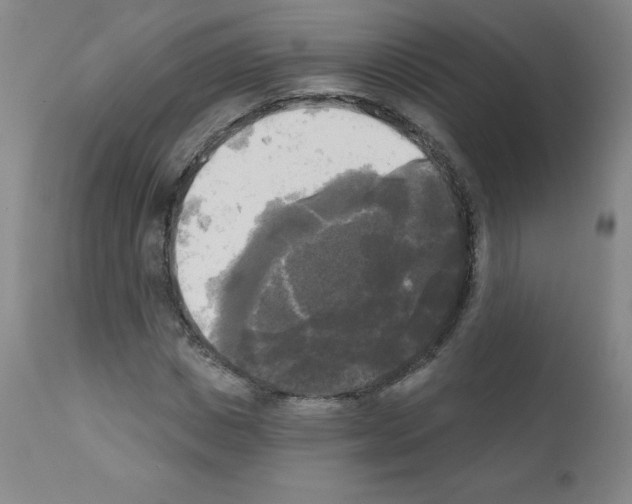 X0000111480825200908250959