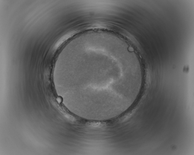 X0000111480826200908250959