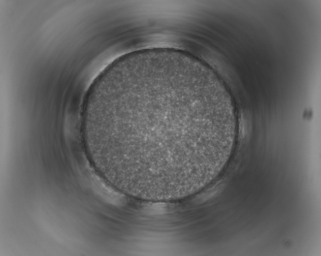 X0000111480828200908250959