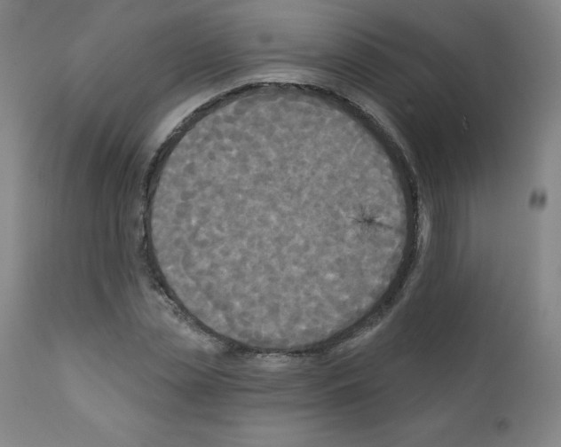 X0000111480829200908250959