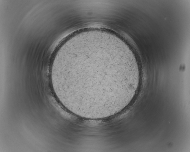 X0000111480831200908250959