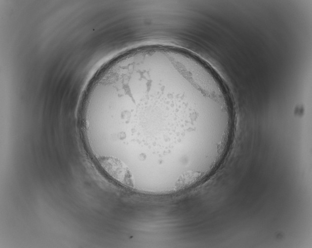 X0000111480832200908250959