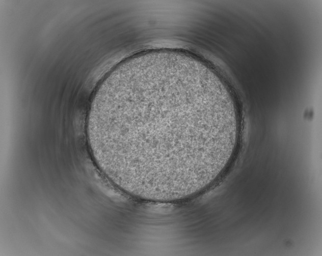 X0000111480833200908250959