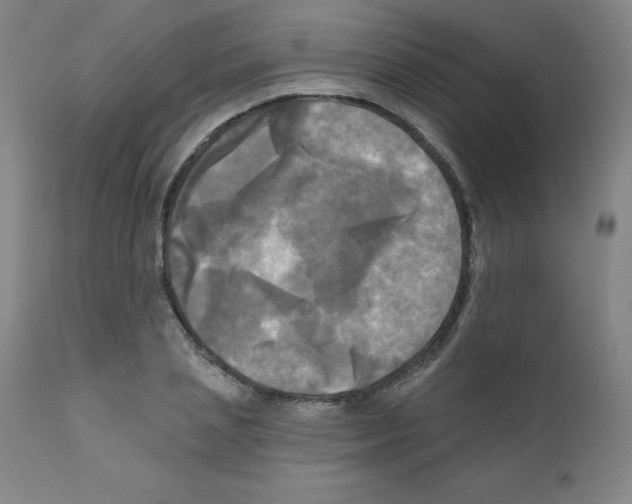 X0000111480837200908250959