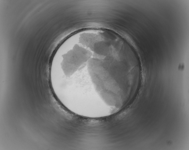 X0000111480839200908250959