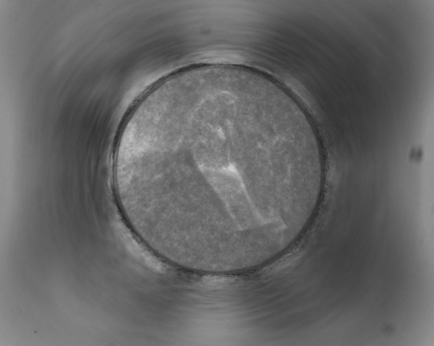 X0000111480840200908250959