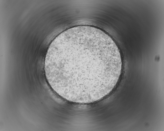 X0000111480841200908250959