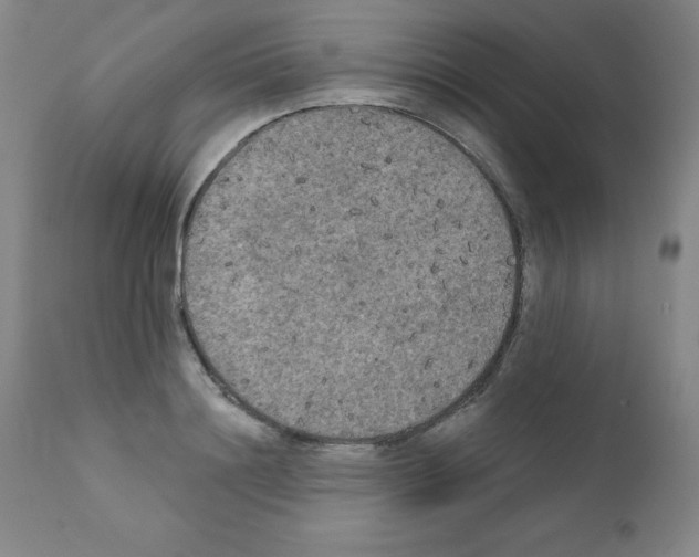 X0000111480844200908250959