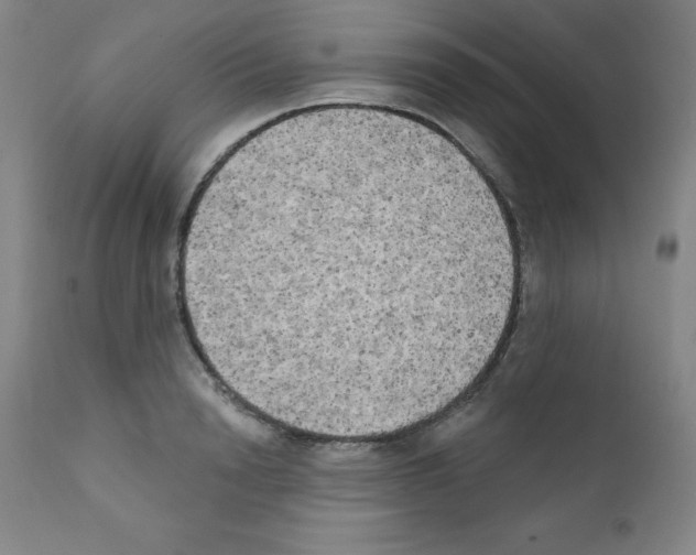 X0000111480846200908250959