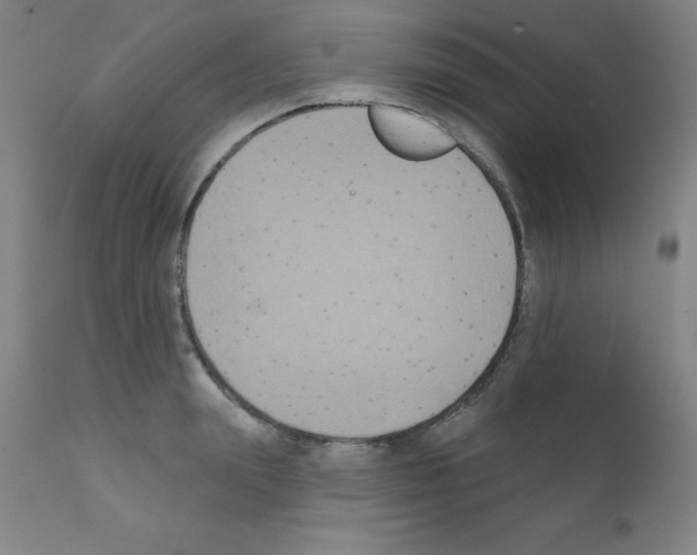 X0000111480847200908250959