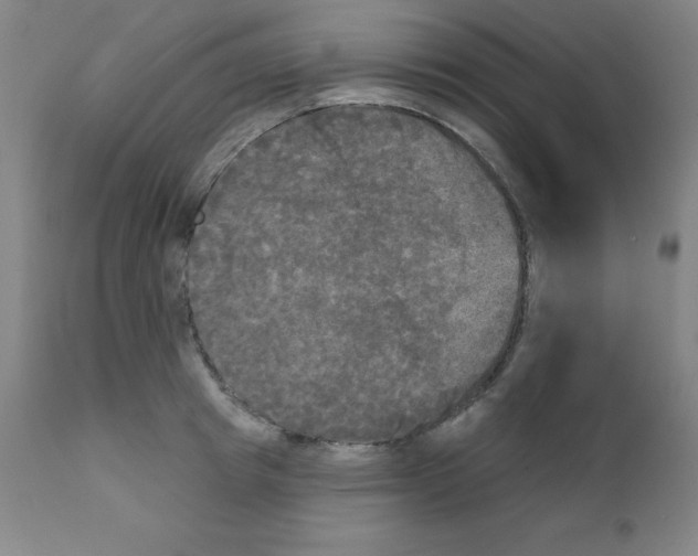 X0000111480849200908250959