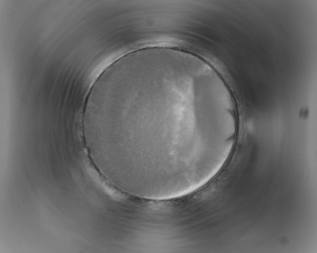 X0000111480850200908250959