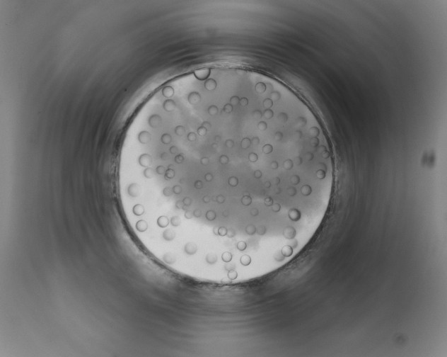 X0000111480851200908250959