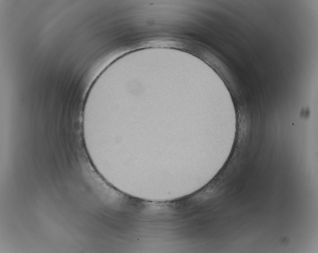 X0000111480852200908251000
