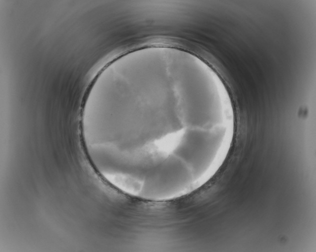 X0000111480853200908251000