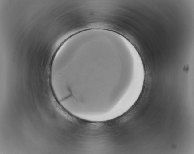 X0000111480854200908251000