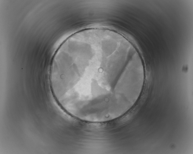X0000111480855200908251000