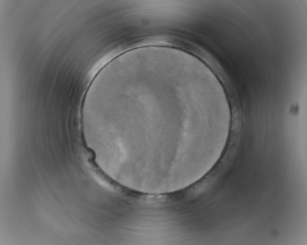 X0000111480858200908251000