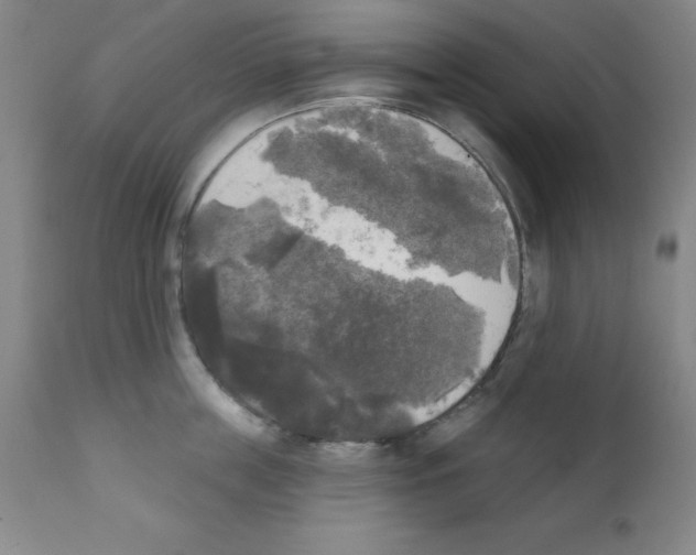X0000111480859200908251000