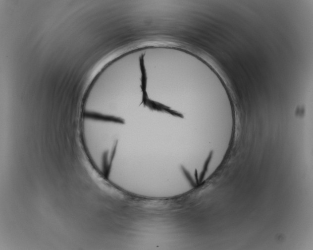 X0000111480861200908251000