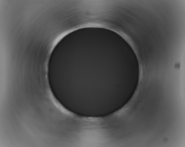 X0000111480862200908251000