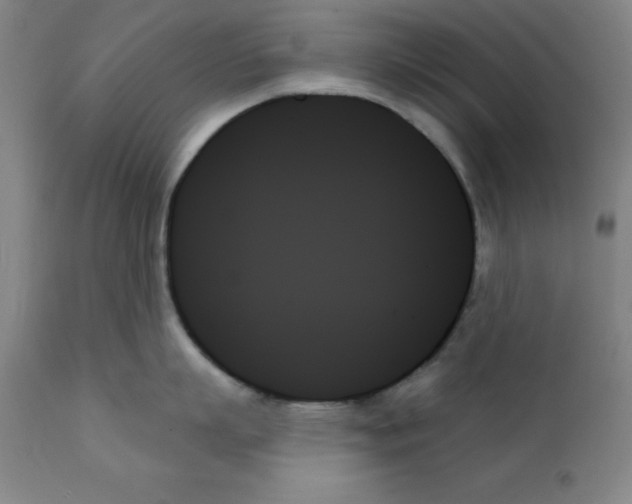 X0000111480863200908251000