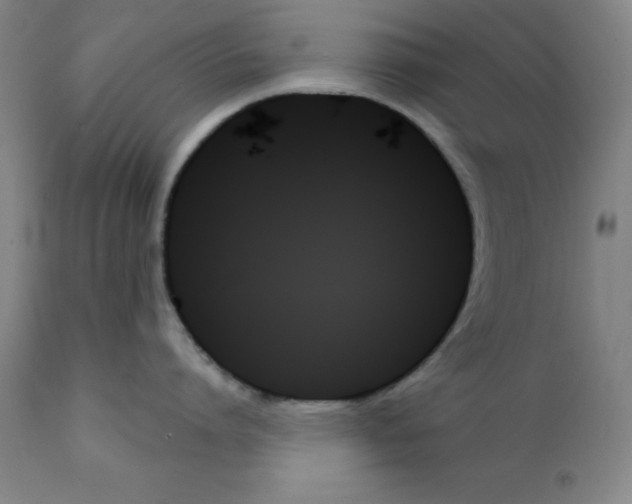 X0000111480864200908251000