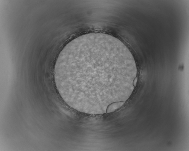 X0000111480865200908250959
