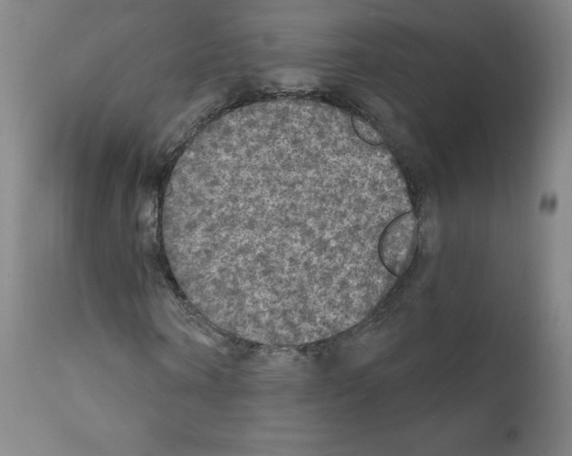 X0000111480866200908250959