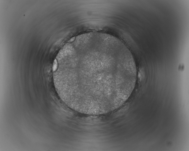 X0000111480867200908250959