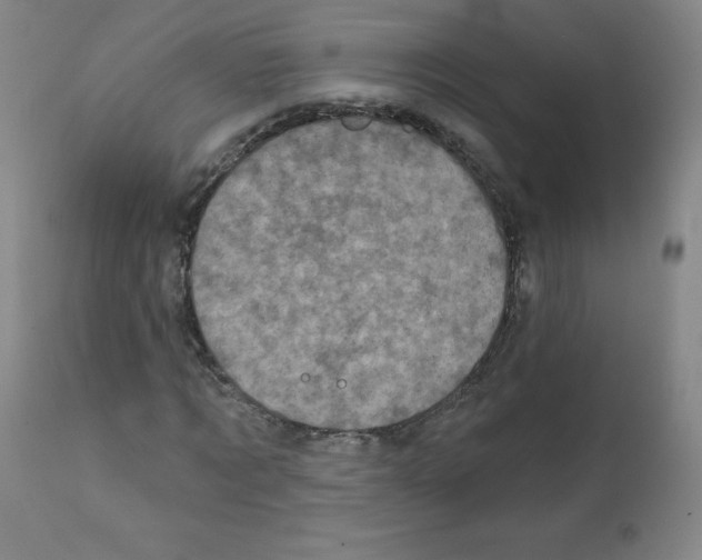 X0000111480869200908250959